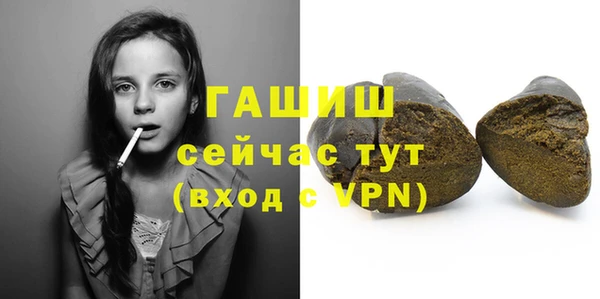 гидра Тайга