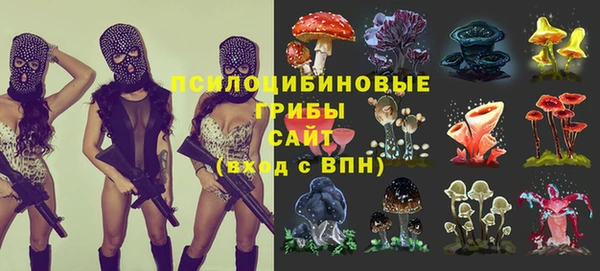 соль ск Белоозёрский