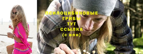 СК Богородицк