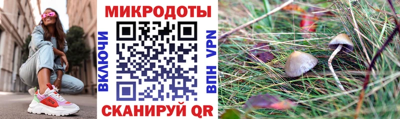 Псилоцибиновые грибы Magic Shrooms  Макаров 